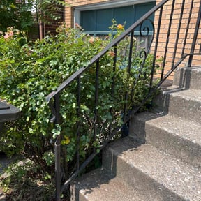 Bush Trimming by Rc lawn care Service reviewed on October 24, 2025