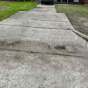 Leaf Removal by Lawn Panda reviewed on September 25, 2025