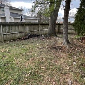 Leaf Removal by Douglas Lawn and Services LLC reviewed on August 5, 2026