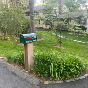 Lawn Seeding by Jordan's Lawn Service reviewed on June 2, 2020