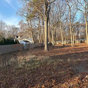 Leaf Removal by Kiss My Grass FL LLC reviewed on December 17, 2025