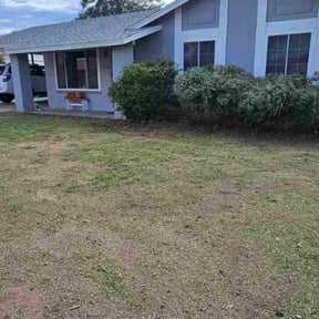 Bush Trimming by President Landscaping reviewed on November 22, 2025