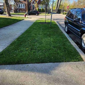turf maintenance by S & G Landscaping, Inc. reviewed on June 3, 2025