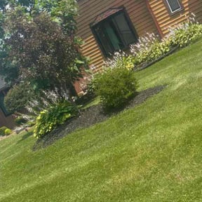 Bush Trimming by Herrera Lawn Maintenance reviewed on August 15, 2025