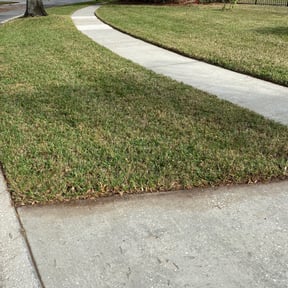 Bush Trimming by Isaiah's Custom Cutz reviewed on August 20, 2025