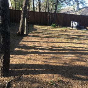 Leaf Removal by LIGHTNING LANDSCAPING &amp; LAND MANAGEMENT reviewed on September 22, 2025