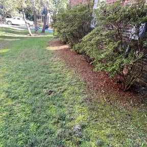 Leaf Removal by Lawns by leo reviewed on May 17, 2022