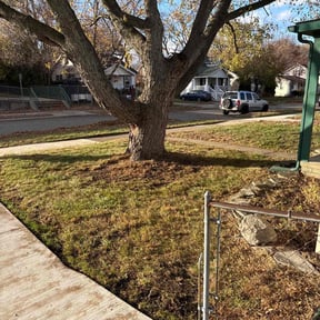 Leaf Removal by Arianne Ney reviewed on November 21, 2025