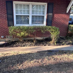 Bush Trimming by Penneys landscape reviewed on August 13, 2025