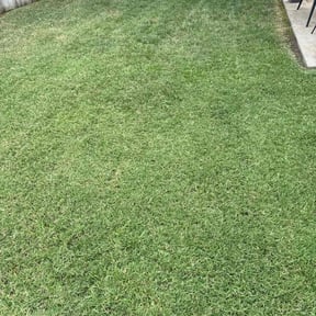 landscaping by Jays 3 The Hard Way  reviewed on July 12, 2019