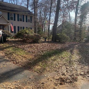 Leaf Removal by Together Family Landscapes LLC reviewed on December 19, 2025