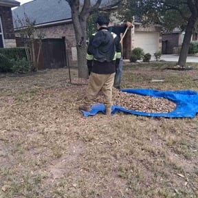 Leaf Removal by Caesar’s Premier Landscaping reviewed on November 10, 2025