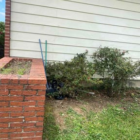 Bush Trimming by Rich Evergreen Mindful Lawn Care reviewed on June 13, 2026
