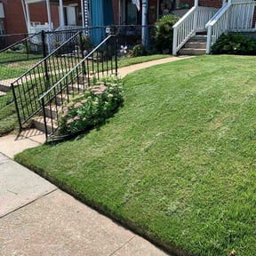 lawn care by Arisinglawncare@gmail.com reviewed on March 20, 2024