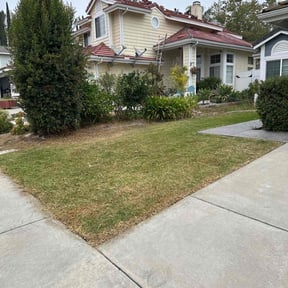 turf maintenance by McNeil's lawn care & maintenance reviewed on April 26, 2024