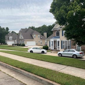 yard care by ATP landscapes reviewed on August 17, 2025