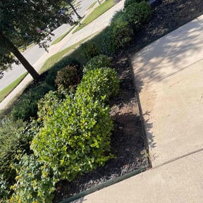 Flower Bed Weeding by KaiTech Landscape reviewed on November 8, 2025