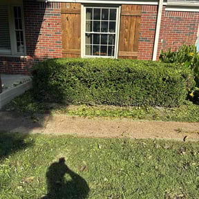 Bush Trimming by S&amp;S Lawn Care reviewed on November 9, 2025