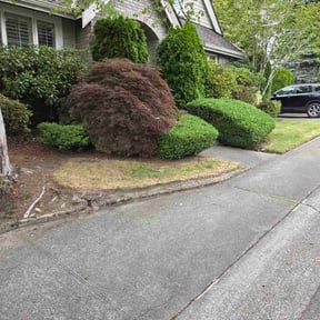 Bush Trimming by J Jr’s Lawn Maintenance reviewed on November 24, 2025