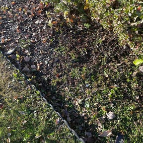 Flower Bed Weeding by LEL landscape reviewed on October 21, 2025