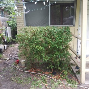 Bush Trimming by ShiftChange LLC Lawn Service reviewed on January 31, 2026