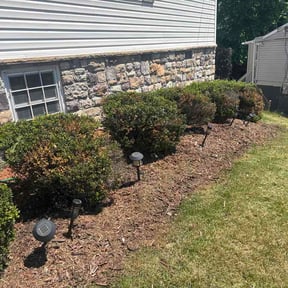Flower Bed Weeding by Helping Hand Handyman Services reviewed on May 12, 2026