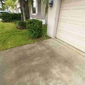 Bush Trimming by KRP Landscape reviewed on November 24, 2025