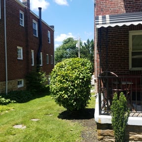 Bush Trimming by CCs lawn service LLC reviewed on August 18, 2025
