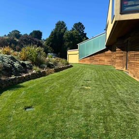 yard care by Ezlycut landscaping reviewed on August 20, 2025