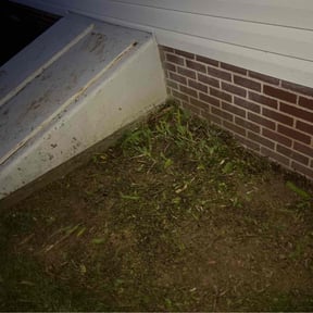 Flower Bed Weeding by Bella Vista Landscape Services reviewed on August 31, 2023