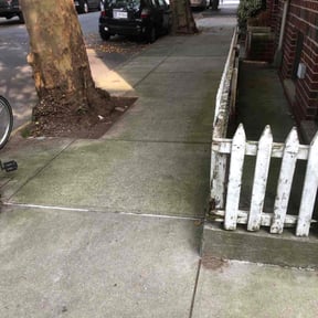 Bush Trimming by Solomon's Garden Premium Lawn Care Services reviewed on August 15, 2025