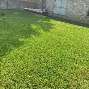 landscape maintenance by Nature's Canvas reviewed on January 8, 2026