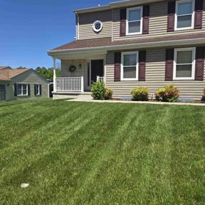 yard service by Billy Stone reviewed on October 17, 2024