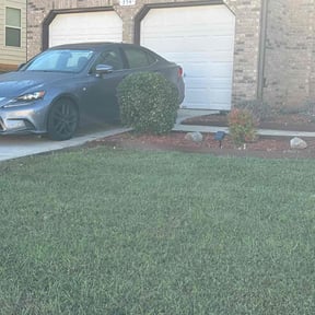 Bush Trimming by Smitty & Brothers Home & Outdoors, LLC reviewed on August 14, 2025