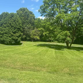 gardening service by Leon's Landscape and Concepts reviewed on August 18, 2025