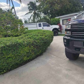 Bush Trimming by Ruben's Landscaping reviewed on August 19, 2025