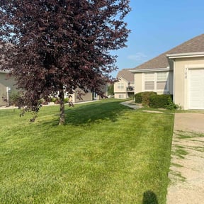 turf maintenance by The Lawn Cypress reviewed on July 30, 2025