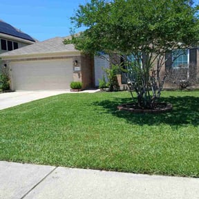 yard work by Marroquin Landscaping reviewed on December 24, 2025