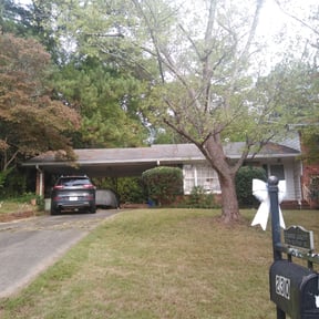 Bush Trimming by Wright Cut reviewed on November 8, 2024