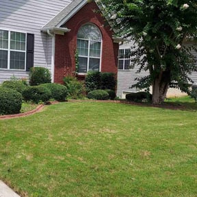 Bush Trimming by Willie Lawn Care and More LLC reviewed on April 6, 2024