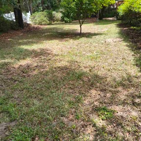 Leaf Removal by 12 Journey Lawn Care reviewed on June 2, 2026
