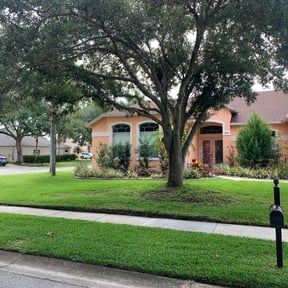 landscaping services by Reddy property care reviewed on August 14, 2025