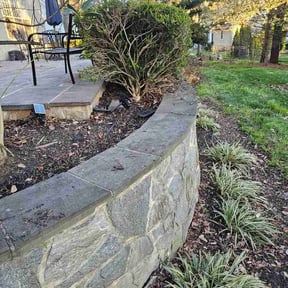 Leaf Removal by Mike's Lawn Care Services reviewed on April 8, 2026