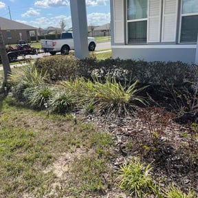 Bush Trimming by Pristine Properties LHS reviewed on June 8, 2026
