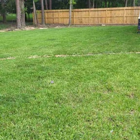 landscape maintenance by John's landscaping reviewed on December 16, 2025