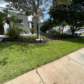 yard service by A&amp;M professional landscapers  reviewed on June 9, 2023