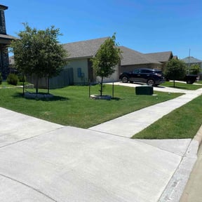 grass maintenance by Sinaí Tree and Lawn Care Experts reviewed on April 29, 2025