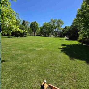 residential landscaping by Florida LawnScapers LLC reviewed on August 18, 2025