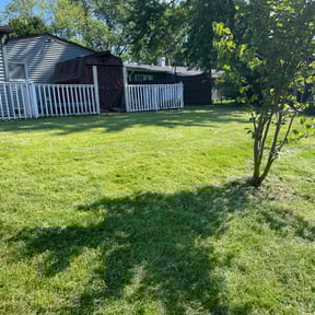 yard work by MARTÍN CRUZ LANDSCAPING reviewed on August 17, 2025
