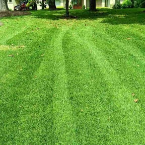 yard work by Jays lawn reviewed on May 25, 2025